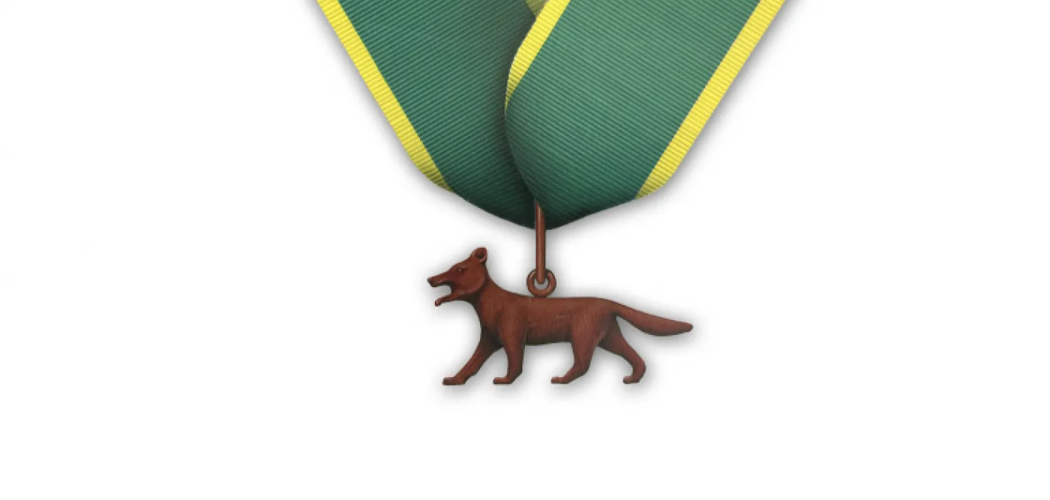 Bronze wolf medal