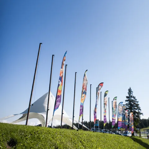 flags