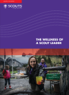 The wellness of a Scout leader