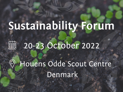 Description of the event