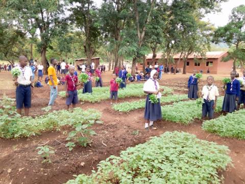 Scouts commemorating Earth Hour in Africa