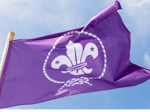 Drapeau OMMS