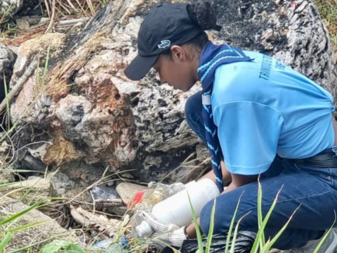 Scouts picking up garbage
