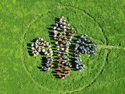 A fleur de lis made by Scouts sitting on the grass