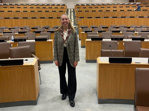 Ilka stands in an empty plenary room.