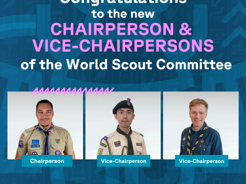 WSC Chairs