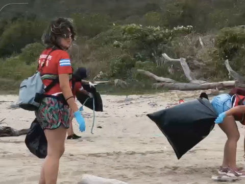 Scouts cleaning the beach