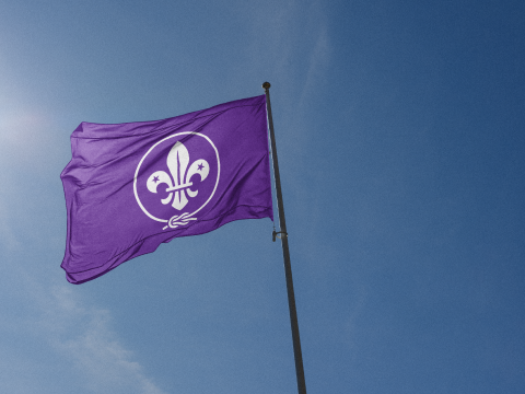 WOSM flag_new branding