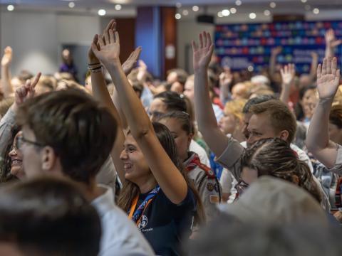 Delegates raise their hands during a plenary session.