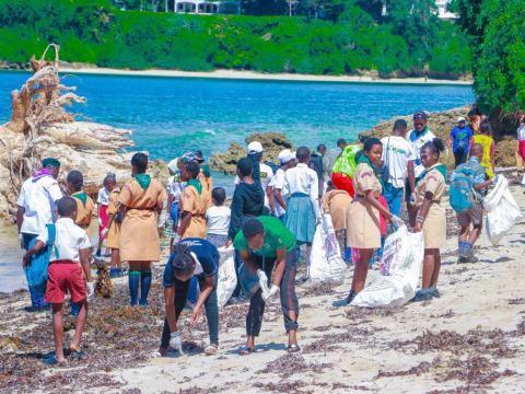 Scouts engaged in beach cleanups