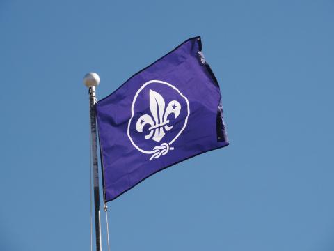 World Scouting flag