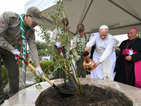 Pope Leo XIV plants an olive tree with Scouts from Algeria