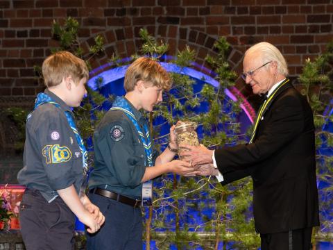 King of Sweden and Swedish Scouts