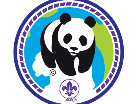 Kitűző - Panda