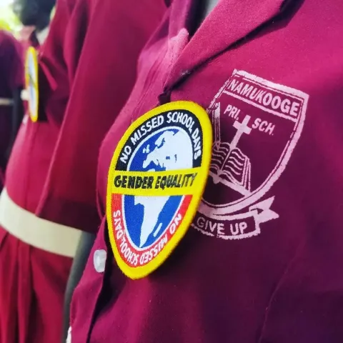 The NoMissedSchoolDays badge.