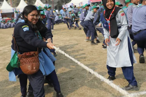 GDV activity