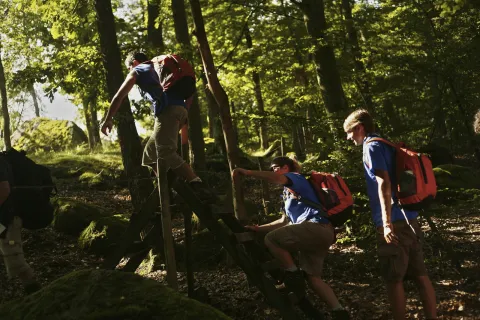 Scouts hiking in the forest