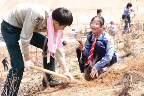 Scouts qui plantent des arbres