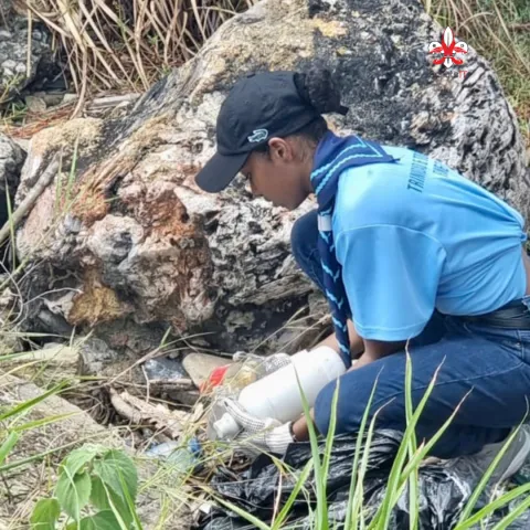 Scouts picking up garbage