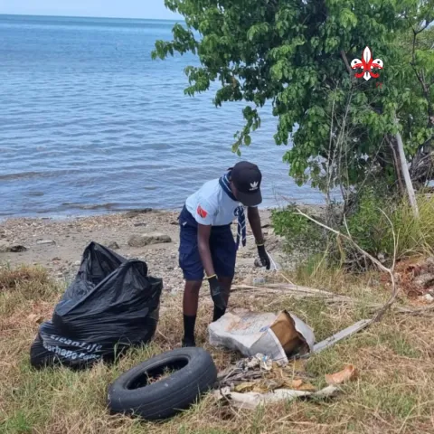 cleaning coastlines