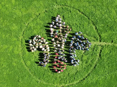 A fleur de lis made by Scouts sitting on the grass