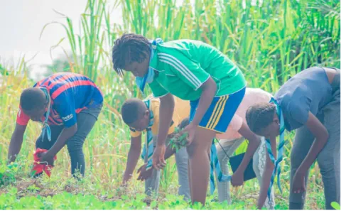 Young Scouts from Togo take part in a reforestation project. They carefully plant young shoots in a field, under the benevolent gaze of an overcast sky. Their colorful jerseys stand out against the surrounding green, illustrating their dynamism and commitment to the environment.