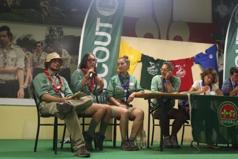 Italian scout clearance