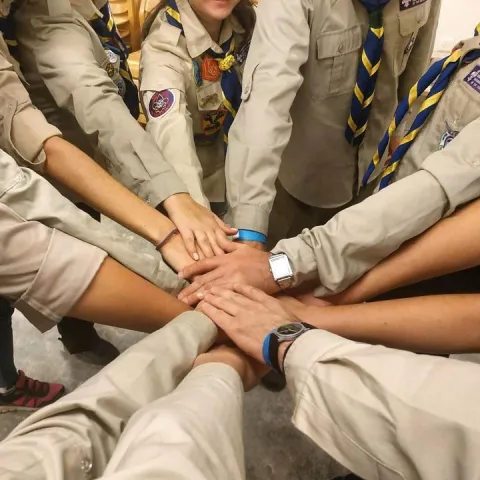 Scout hands