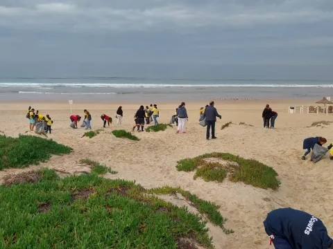 Participants of the initiative collect litter.