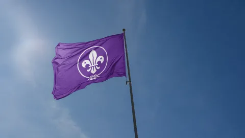 WOSM flag_new branding