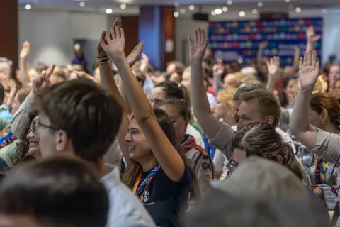 Delegates raise their hands during a plenary session.