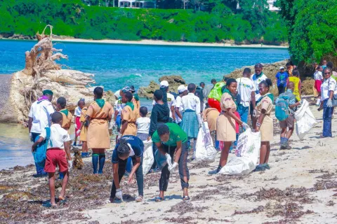 Scouts engaged in beach cleanups