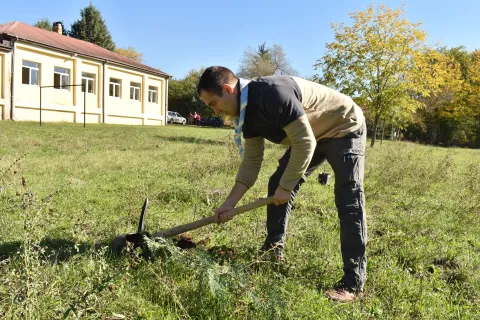 A young Scout digging in soil.