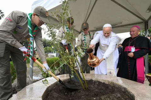Pope Leo XIV plants an olive tree with Scouts from Algeria
