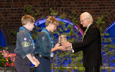 King of Sweden and Swedish Scouts