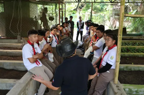 Scouting