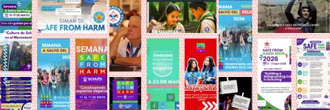 collage of SFH posts