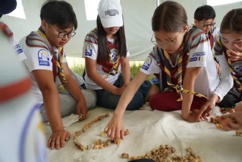 Scouts in action