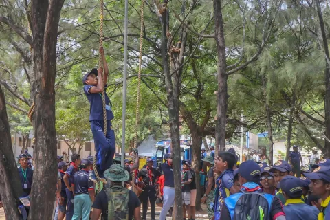 Scouting