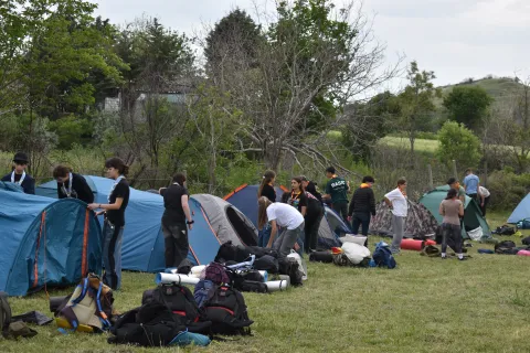 Young people building up tents on a field surrounded by trees.