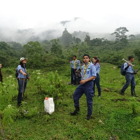 scouts doing a community service in the forest