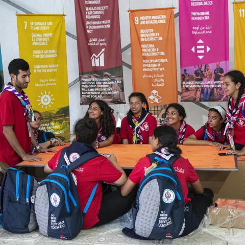 Scouts with SDGS in the background