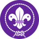 The Ghana Scout Association